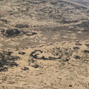 Meet your Posher, Ray